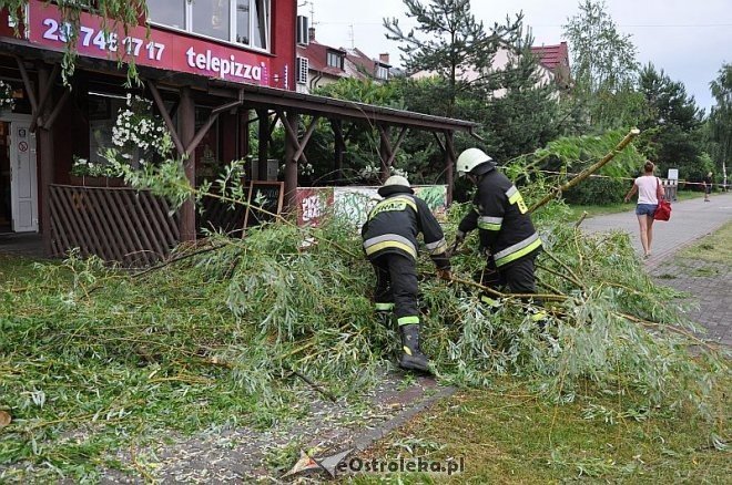 Straż Pożarna: Usuwanie zwisającego konaru [21.06.2013] - zdjęcie #3 - eOstroleka.pl
