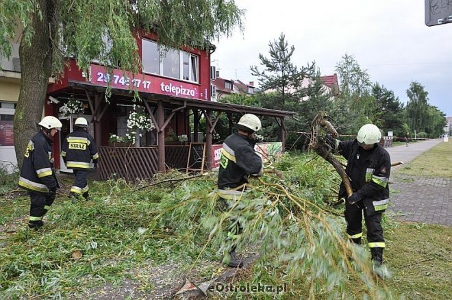 Straż Pożarna: Usuwanie zwisającego konaru [21.06.2013] - zdjęcie #2 - eOstroleka.pl