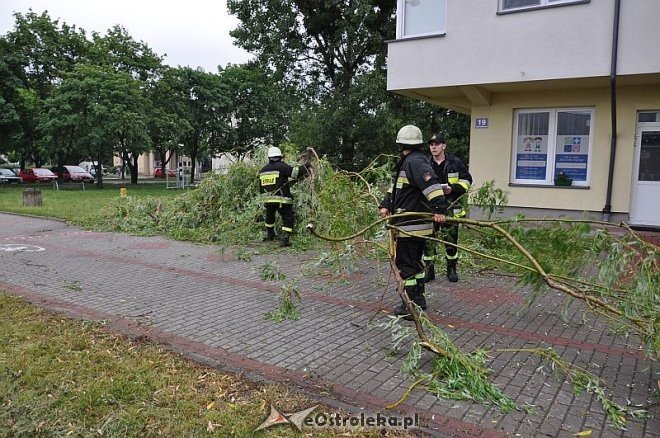 Straż Pożarna: Usuwanie zwisającego konaru [21.06.2013] - zdjęcie #1 - eOstroleka.pl