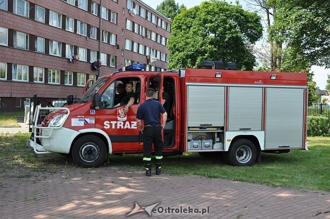 Festyn „Lato, lato wszędzie” [22.06.2013] - zdjęcie #22 - eOstroleka.pl