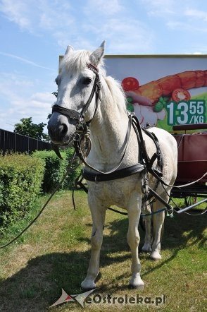 Festyn „Lato, lato wszędzie” [22.06.2013] - zdjęcie #52 - eOstroleka.pl