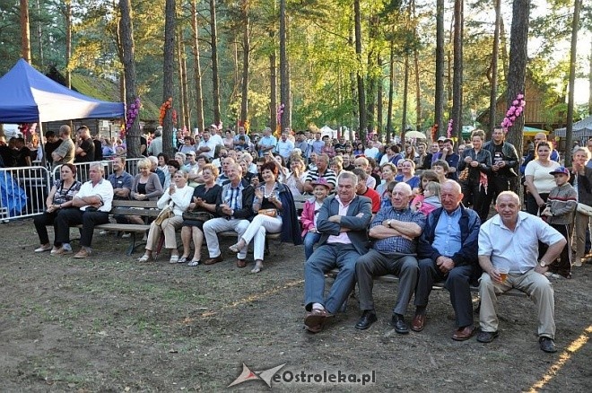 Droga na Ostrołękę i Brathanki na Weselu Kurpiowskim w Kadzidle [23.06.2013] - zdjęcie #70 - eOstroleka.pl