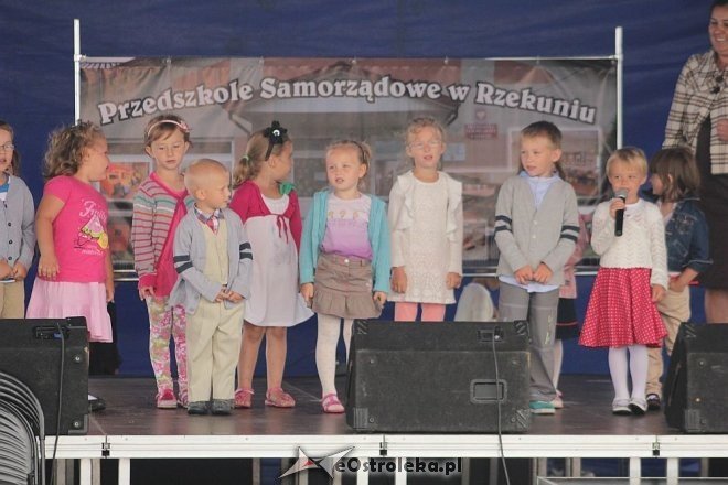 Festyn rodzinny w Rzekuniu [30.06.2013] - zdjęcie #15 - eOstroleka.pl