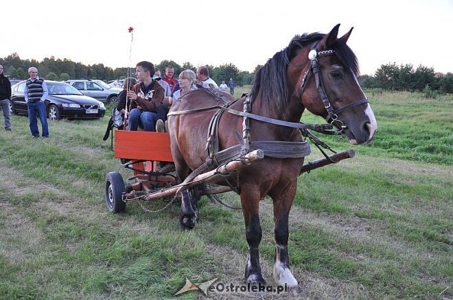 „Noc z gwiazdami pod gwiazdami” w Szarłacie [20.07.2013] - zdjęcie #195 - eOstroleka.pl
