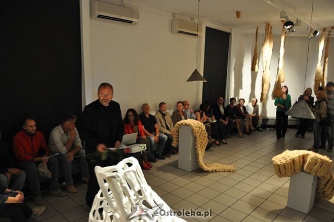 Finisaż wystawy Małgorzaty Łojko pt. „Binarium” [25.07.2013] - zdjęcie #5 - eOstroleka.pl