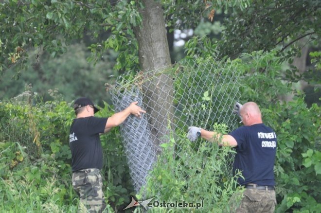 Społeczna Straż Rybacka PZW Narew 38 w walce z bobrami [30.07.2013] - zdjęcie #28 - eOstroleka.pl