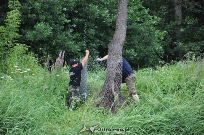Społeczna Straż Rybacka PZW Narew 38 w walce z bobrami [30.07.2013] - zdjęcie #49 - eOstroleka.pl
