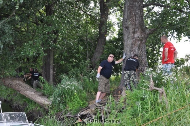 Społeczna Straż Rybacka PZW Narew 38 w walce z bobrami [30.07.2013] - zdjęcie #54 - eOstroleka.pl