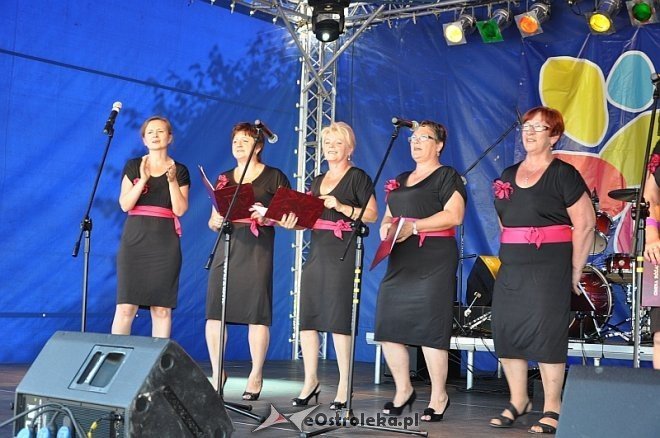 Różan  świętuje [03.08.2013] - zdjęcie #68 - eOstroleka.pl