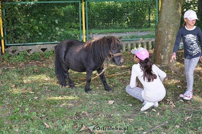 Dzień Działkowca w Ostrołęce [24.08.2013] - zdjęcie #27 - eOstroleka.pl