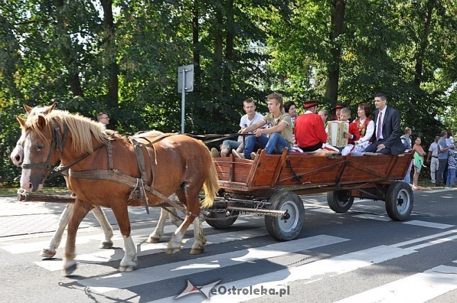 Miodobranie Kurpiowskie 2013 [25.08.2013] - zdjęcie #151 - eOstroleka.pl
