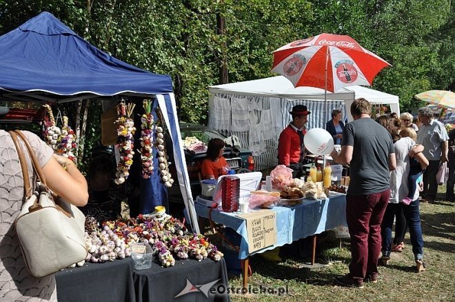 Miodobranie Kurpiowskie 2013 [25.08.2013] - zdjęcie #143 - eOstroleka.pl