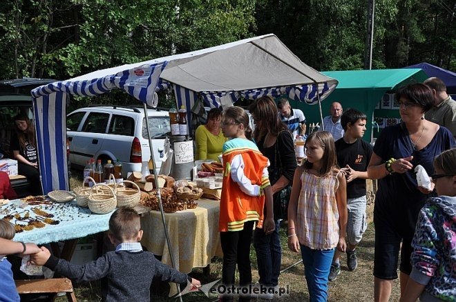 Miodobranie Kurpiowskie 2013 [25.08.2013] - zdjęcie #135 - eOstroleka.pl