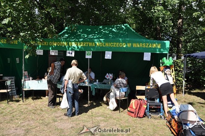 Miodobranie Kurpiowskie 2013 [25.08.2013] - zdjęcie #103 - eOstroleka.pl