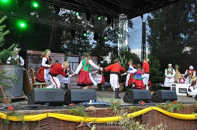 Miodobranie Kurpiowskie 2013 [25.08.2013] - zdjęcie #7 - eOstroleka.pl