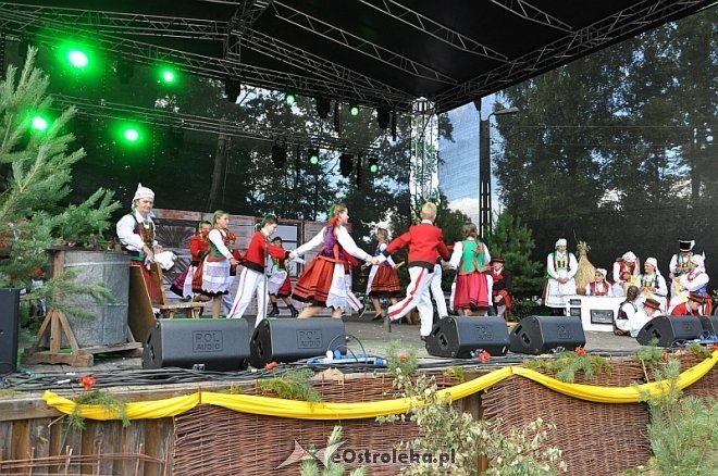 Miodobranie Kurpiowskie 2013 [25.08.2013] - zdjęcie #3 - eOstroleka.pl
