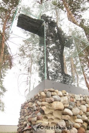 Krzyż ocalały z pożaru kaplicy parafii pw. Zbawiciela Świata [27.08.2013] - zdjęcie #12 - eOstroleka.pl