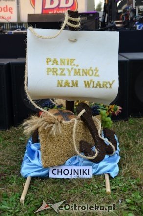 Dożynki w Nowej Wsi - zdjęcie #18 - eOstroleka.pl