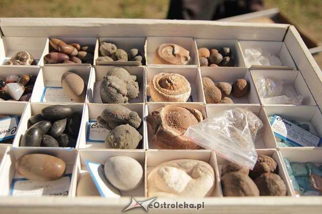 Ostrołęcki Jarmark Staroci [08.09.2013] - zdjęcie #35 - eOstroleka.pl