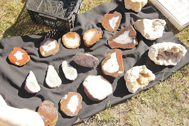 Ostrołęcki Jarmark Staroci [08.09.2013] - zdjęcie #34 - eOstroleka.pl