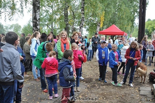 Festyn „Drezyną przez Kurpie” [15.09.2013]  - zdjęcie #28 - eOstroleka.pl