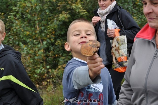Quest „Między Ciskiem a Lipianką” - aktywne spędzenie czasu dla wszystkich [21.09.2013] - zdjęcie #38 - eOstroleka.pl