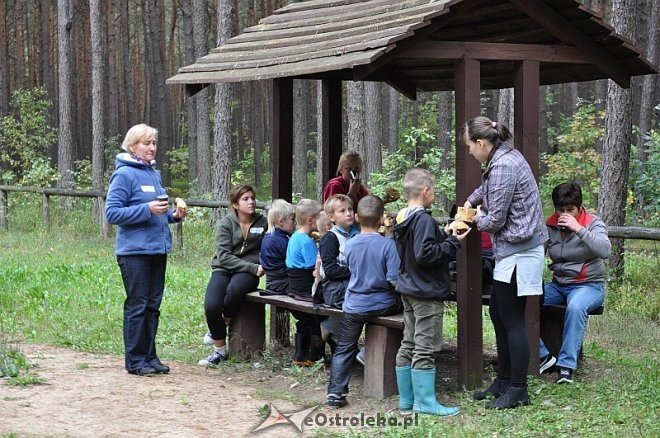 Quest „Między Ciskiem a Lipianką” - aktywne spędzenie czasu dla wszystkich [21.09.2013] - zdjęcie #22 - eOstroleka.pl