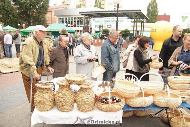 VII Targi Ekologiczne i Jarmark Ostrołęcki [22.09.2013] - zdjęcie #113 - eOstroleka.pl