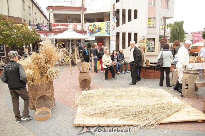 VII Targi Ekologiczne i Jarmark Ostrołęcki [22.09.2013] - zdjęcie #106 - eOstroleka.pl