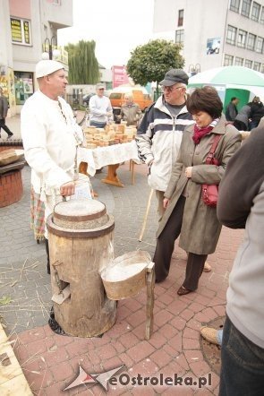 VII Targi Ekologiczne i Jarmark Ostrołęcki [22.09.2013] - zdjęcie #105 - eOstroleka.pl