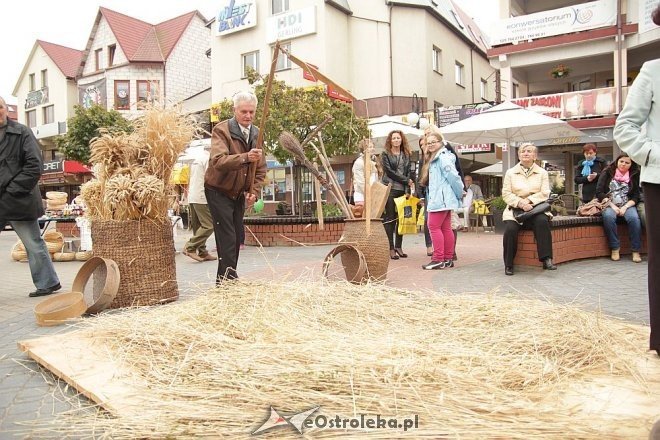 VII Targi Ekologiczne i Jarmark Ostrołęcki [22.09.2013] - zdjęcie #99 - eOstroleka.pl