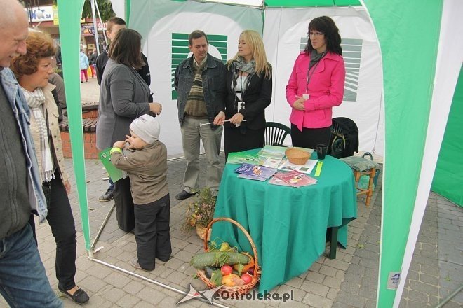 VII Targi Ekologiczne i Jarmark Ostrołęcki [22.09.2013] - zdjęcie #94 - eOstroleka.pl
