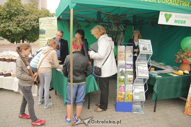 VII Targi Ekologiczne i Jarmark Ostrołęcki [22.09.2013] - zdjęcie #81 - eOstroleka.pl