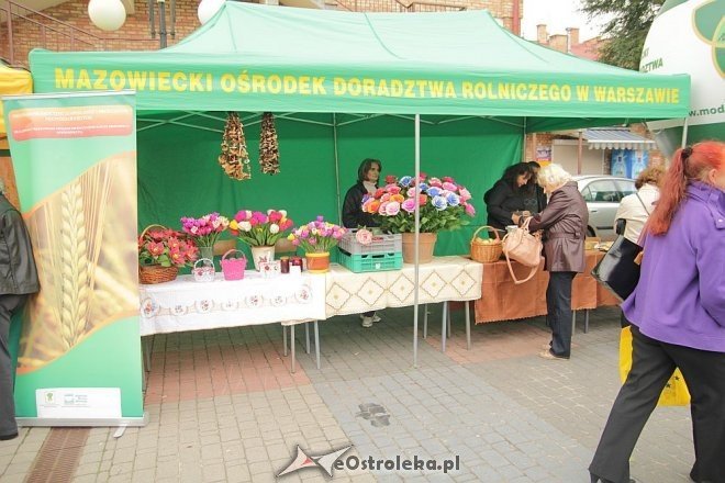 VII Targi Ekologiczne i Jarmark Ostrołęcki [22.09.2013] - zdjęcie #76 - eOstroleka.pl