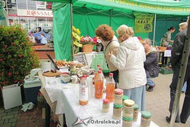 VII Targi Ekologiczne i Jarmark Ostrołęcki [22.09.2013] - zdjęcie #68 - eOstroleka.pl