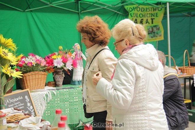 VII Targi Ekologiczne i Jarmark Ostrołęcki [22.09.2013] - zdjęcie #67 - eOstroleka.pl
