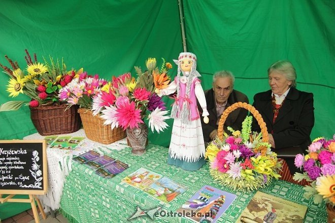 VII Targi Ekologiczne i Jarmark Ostrołęcki [22.09.2013] - zdjęcie #64 - eOstroleka.pl