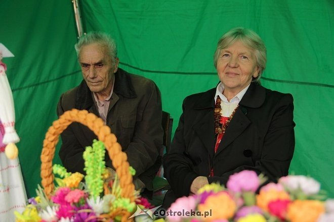 VII Targi Ekologiczne i Jarmark Ostrołęcki [22.09.2013] - zdjęcie #62 - eOstroleka.pl