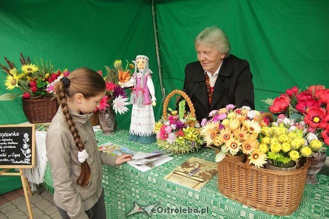 VII Targi Ekologiczne i Jarmark Ostrołęcki [22.09.2013] - zdjęcie #61 - eOstroleka.pl
