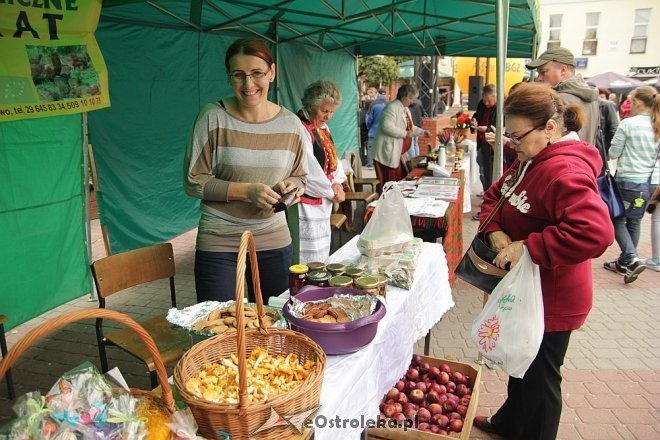 VII Targi Ekologiczne i Jarmark Ostrołęcki [22.09.2013] - zdjęcie #60 - eOstroleka.pl