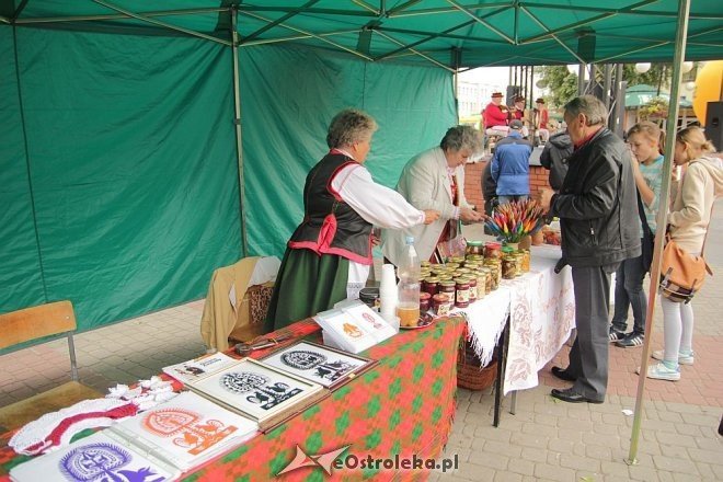 VII Targi Ekologiczne i Jarmark Ostrołęcki [22.09.2013] - zdjęcie #58 - eOstroleka.pl