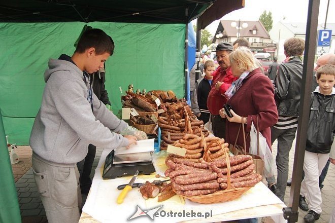 VII Targi Ekologiczne i Jarmark Ostrołęcki [22.09.2013] - zdjęcie #46 - eOstroleka.pl