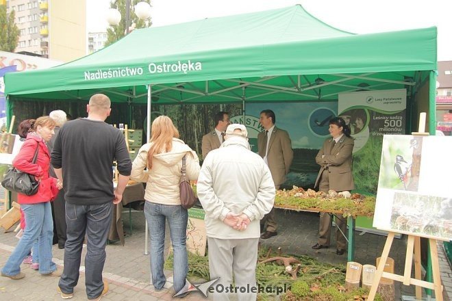 VII Targi Ekologiczne i Jarmark Ostrołęcki [22.09.2013] - zdjęcie #43 - eOstroleka.pl
