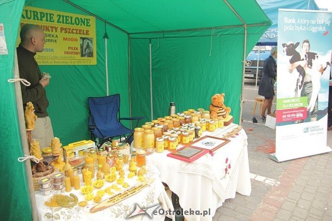VII Targi Ekologiczne i Jarmark Ostrołęcki [22.09.2013] - zdjęcie #36 - eOstroleka.pl