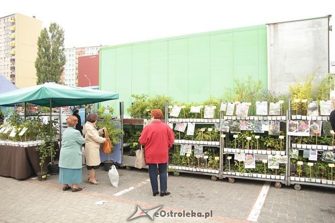 VII Targi Ekologiczne i Jarmark Ostrołęcki [22.09.2013] - zdjęcie #27 - eOstroleka.pl