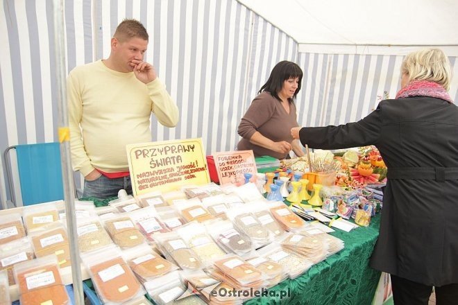 VII Targi Ekologiczne i Jarmark Ostrołęcki [22.09.2013] - zdjęcie #24 - eOstroleka.pl