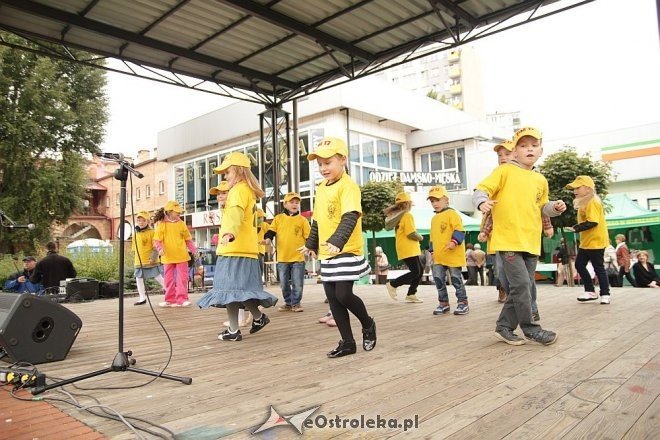 VII Targi Ekologiczne i Jarmark Ostrołęcki [22.09.2013] - zdjęcie #20 - eOstroleka.pl