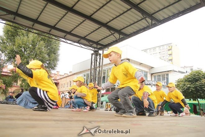 VII Targi Ekologiczne i Jarmark Ostrołęcki [22.09.2013] - zdjęcie #18 - eOstroleka.pl