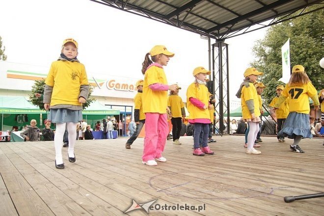 VII Targi Ekologiczne i Jarmark Ostrołęcki [22.09.2013] - zdjęcie #13 - eOstroleka.pl