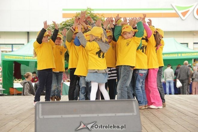 VII Targi Ekologiczne i Jarmark Ostrołęcki [22.09.2013] - zdjęcie #10 - eOstroleka.pl